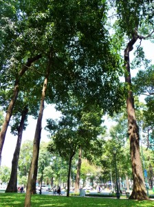 Park Saigon