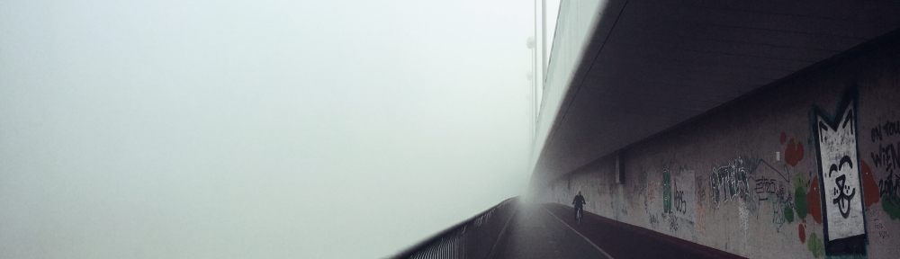 A bridge in Vienna, fogg surrounds everything